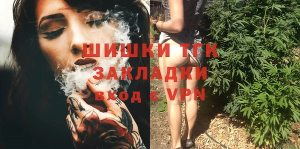 хмурый Тында