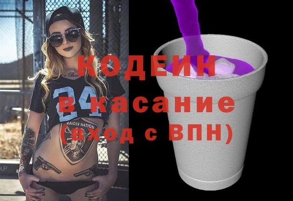 хмурый Тында