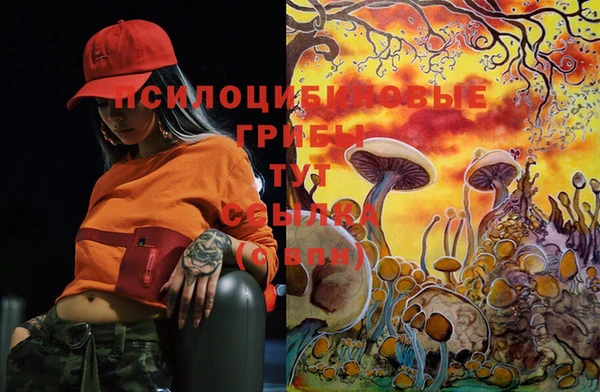 MESCALINE Туринск