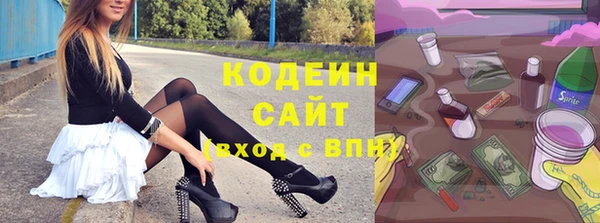хмурый Тында